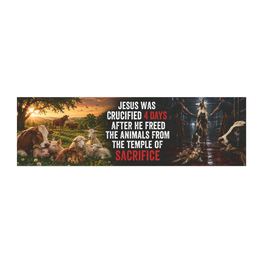 "Jesus Was Crucified 4 Days After He Freed the Animals from the Temple of Sacrifice" Bumper Magnet