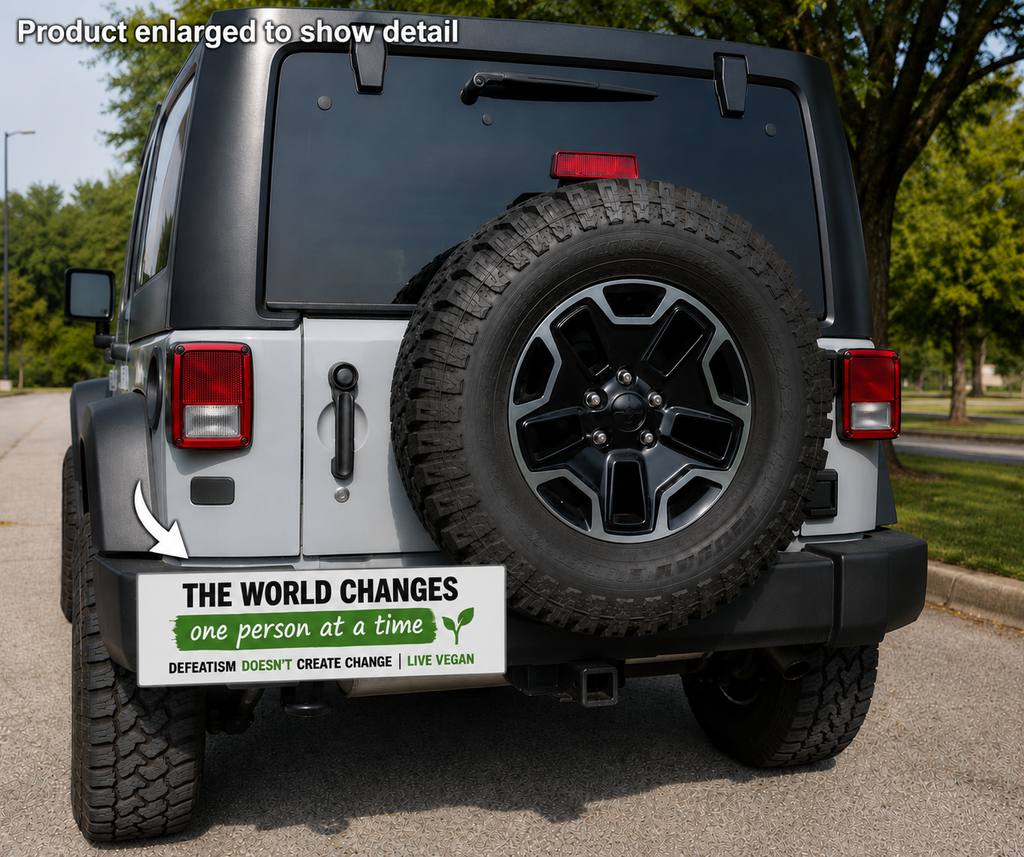 “The world changes one person at a time. Defeatism doesn't create change” Bumper Magnet