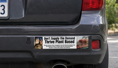 "Don't Supply the Demand, Thrive Plant Based" Bumper Magnet
