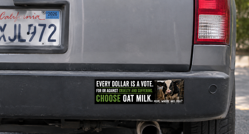 "Every Dollar Is a Vote" Bumper Magnet