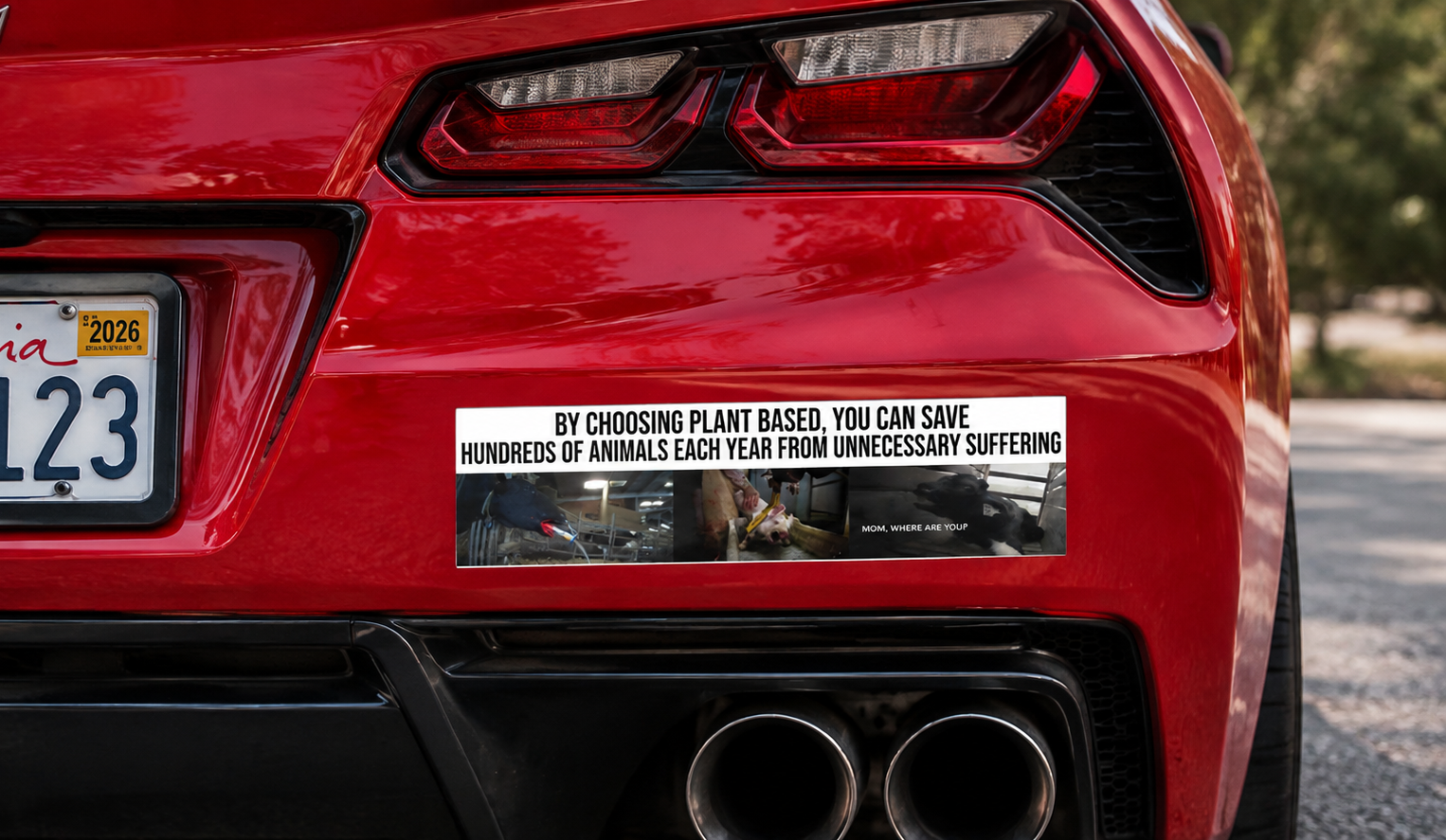 "One Vegan Saves Hundreds of Animals a Year from a Life of Suffering" Bumper Magnet
