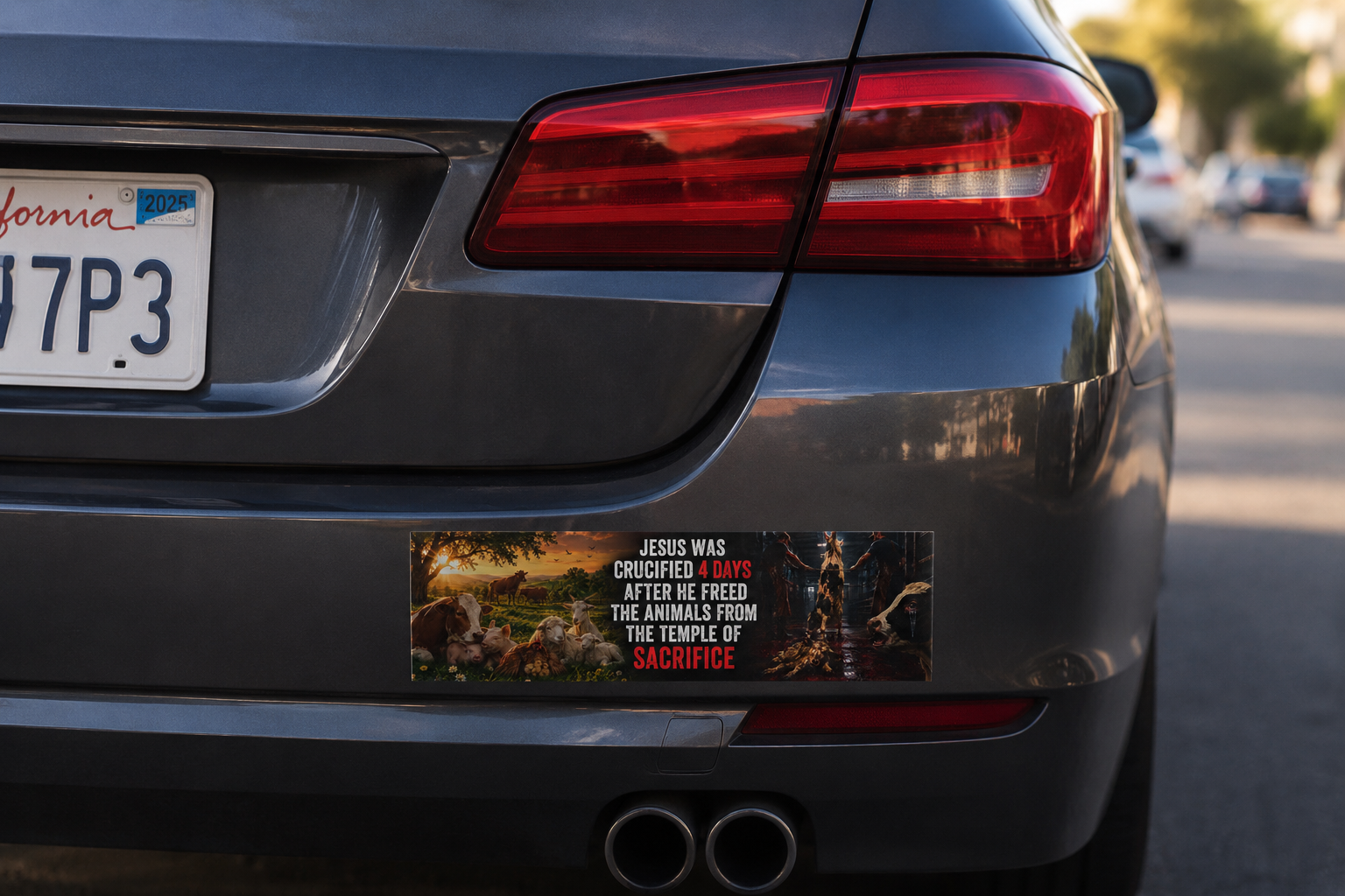 "Jesus Was Crucified 4 Days After He Freed the Animals from the Temple of Sacrifice" Bumper Magnet