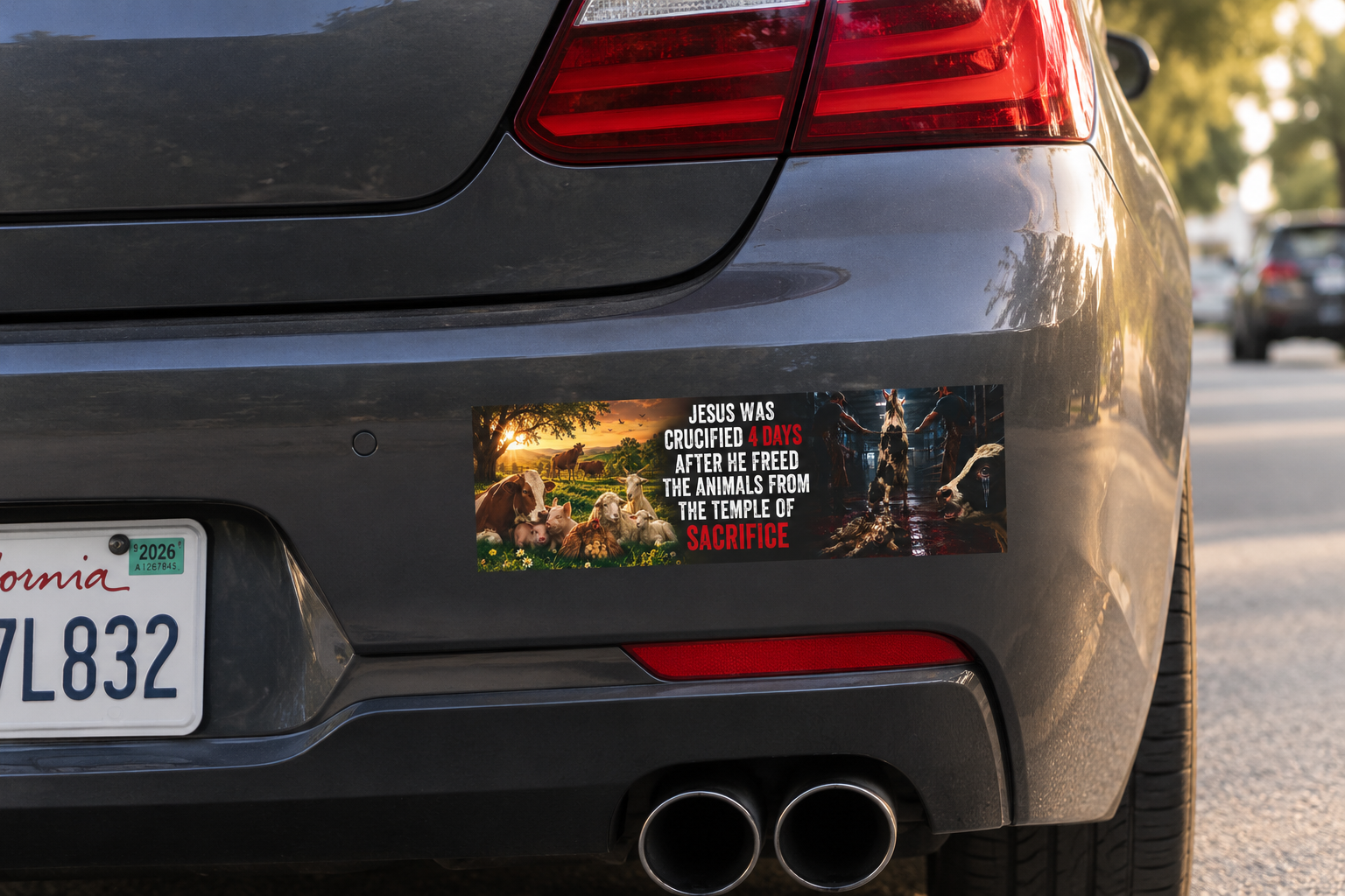 "Jesus Was Crucified 4 Days After He Freed the Animals from the Temple of Sacrifice" Bumper Magnet