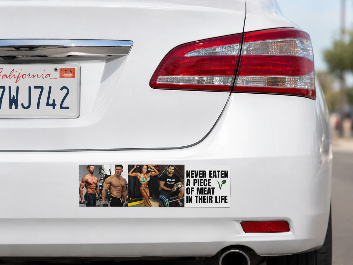 "Never Eaten a Piece of Meat in Their Life" Vegan Body Builders Bumper Magnet