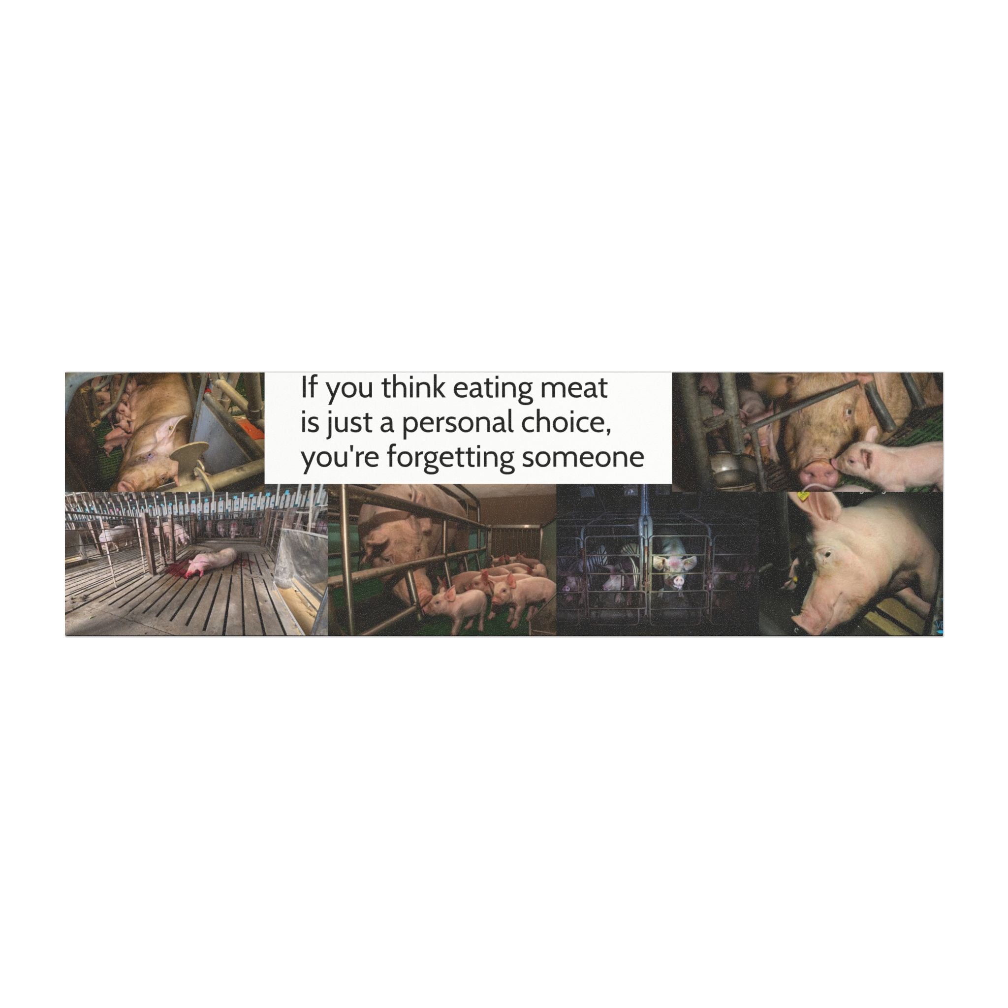 "If You Think Eating Meat Is Just a Personal Choice" Bumper Magnet