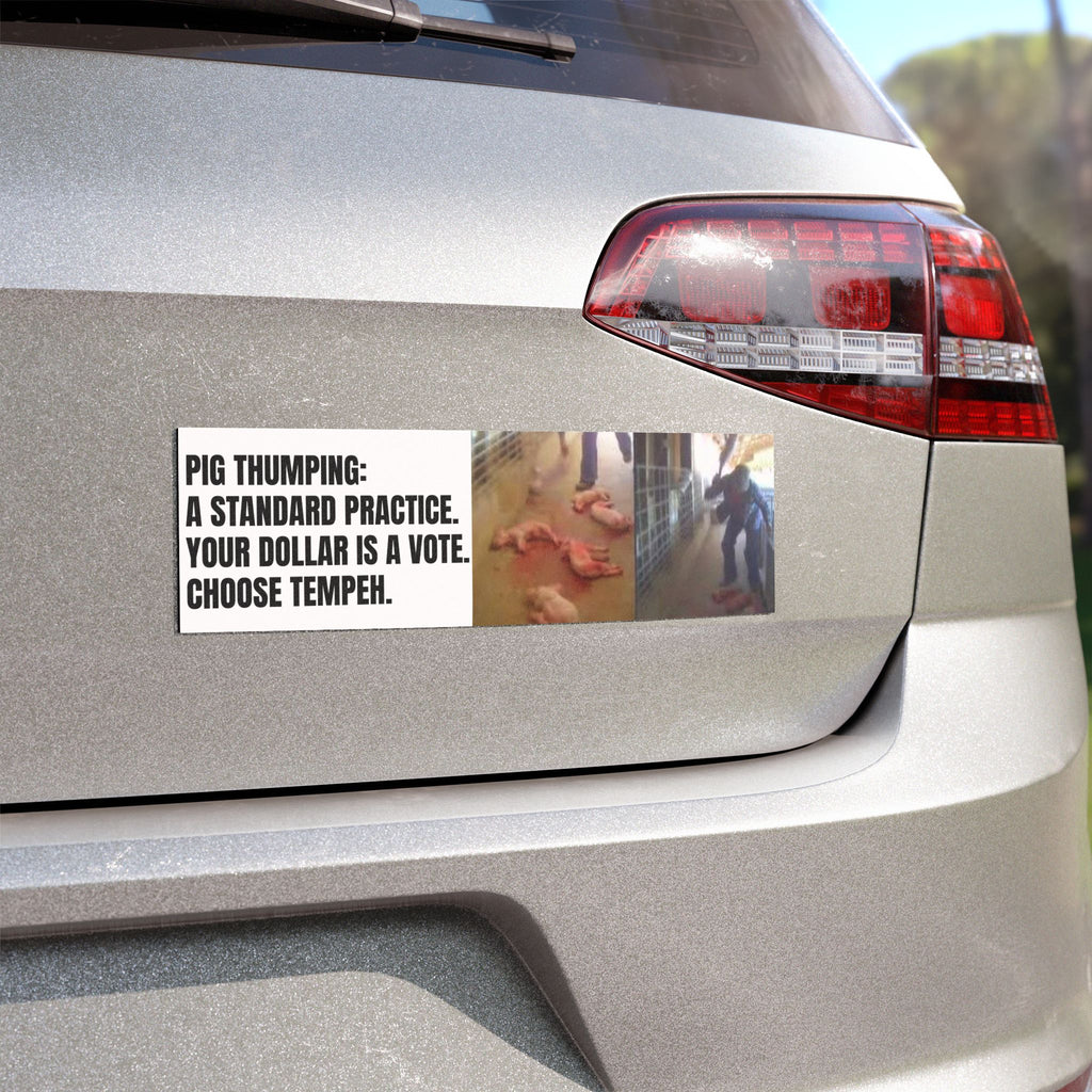 "Pig Thumping: A Standard Practice. Your Dollar Is a Vote. Choose Vegan." Bumper Magnet