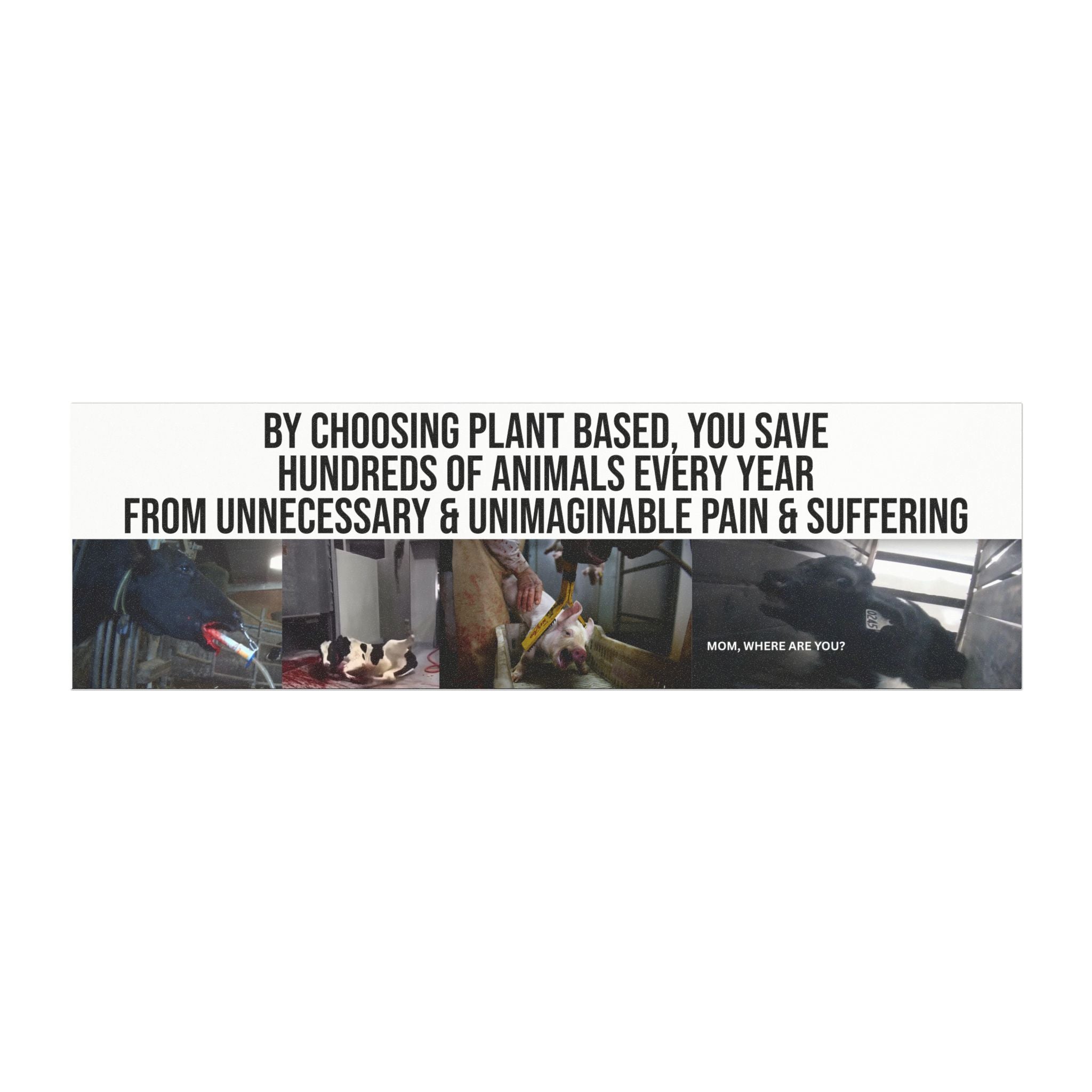"One Vegan Saves Hundreds of Animals a Year from a Life of Suffering" Bumper Magnet